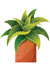 medicinal-plant-icon