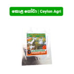 Cabbage | කොළ ගෝවා - ජම්බෝ