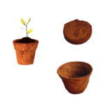Coco pot with coco peat pallet | කොහු බඳුන සමඟ කොහුබත් කැට
