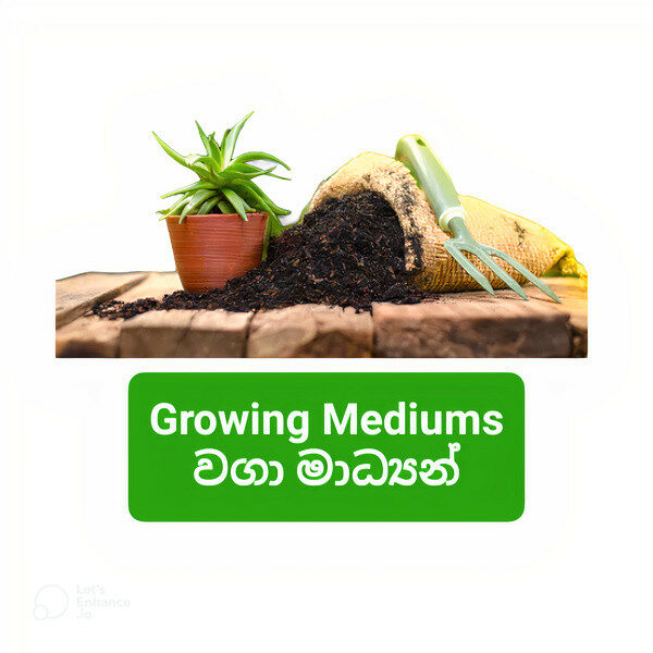 Ceylon Agri