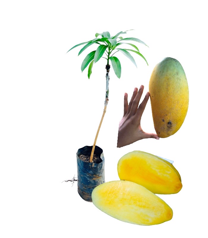 Ceylon Agri