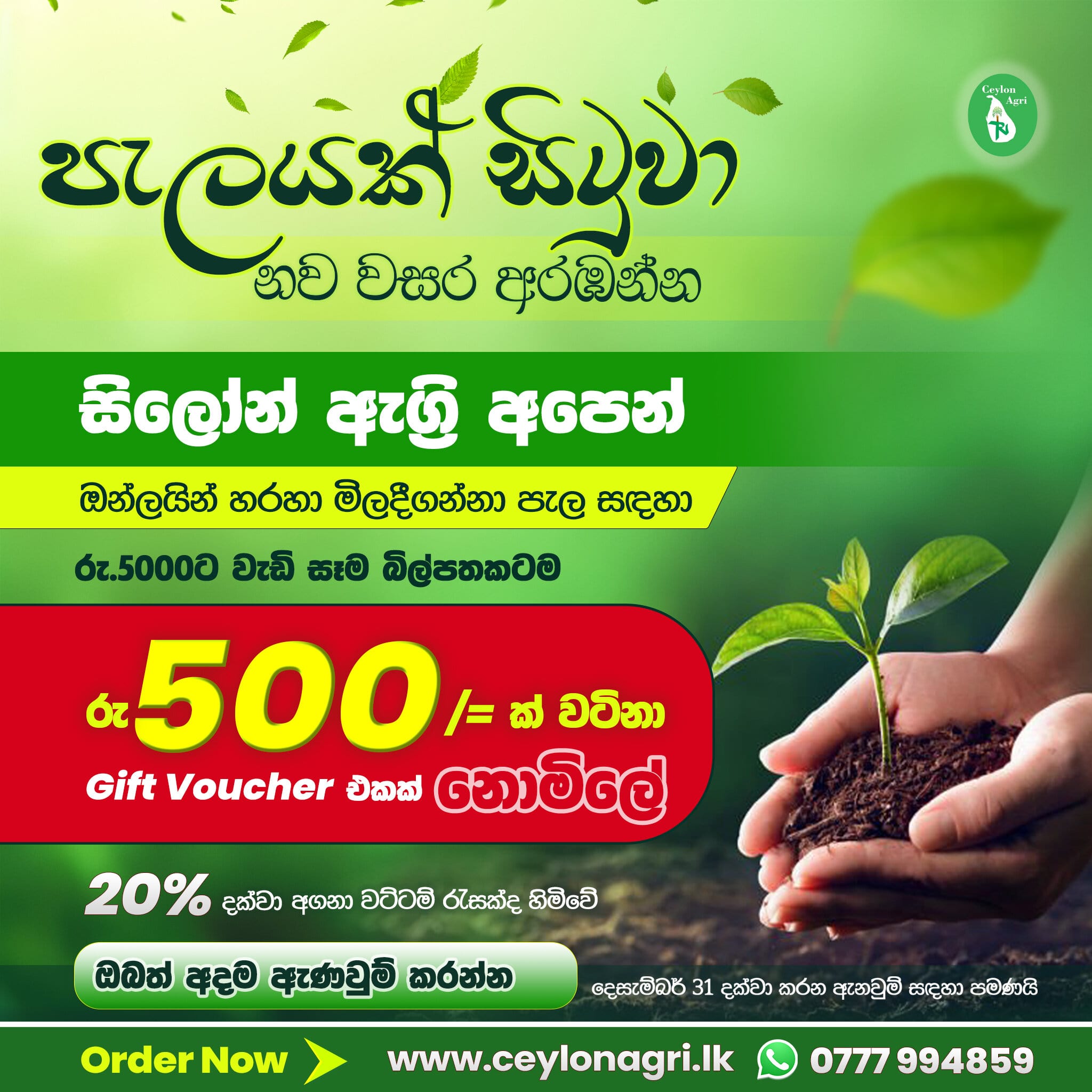 calamansi-plants-are-now-available-from-www-ceylonagri-lk