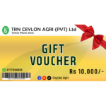 gift voucher 10000