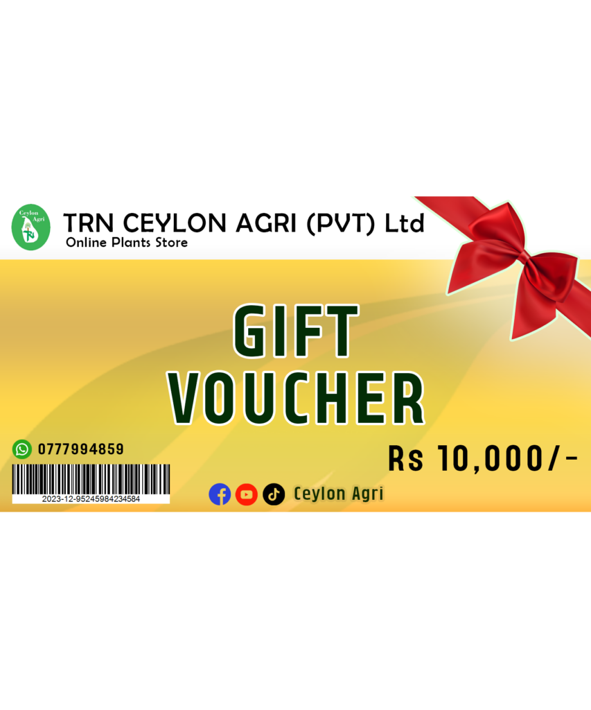 MAJU N10,000 GIFT VOUCHER