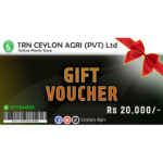 voucher 20000