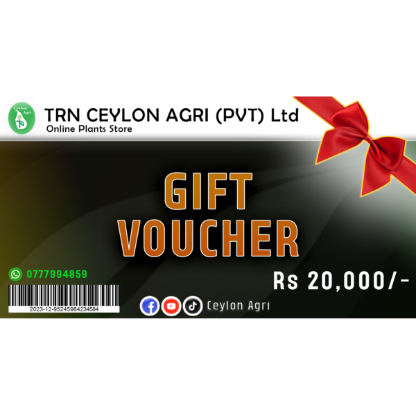 voucher 20000