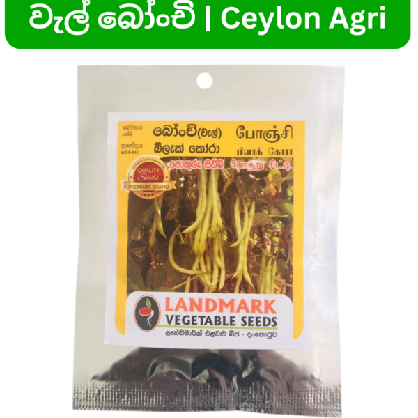 Beans | වැල් බෝංචි – Cora Black