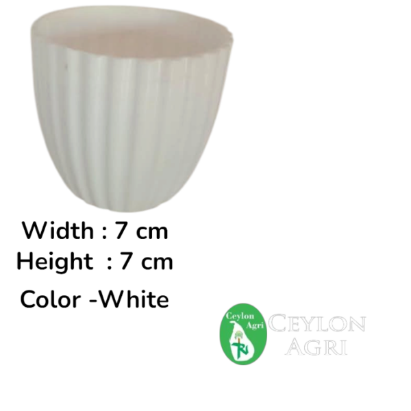 Plastic pots (White) | මල් බදුන්
