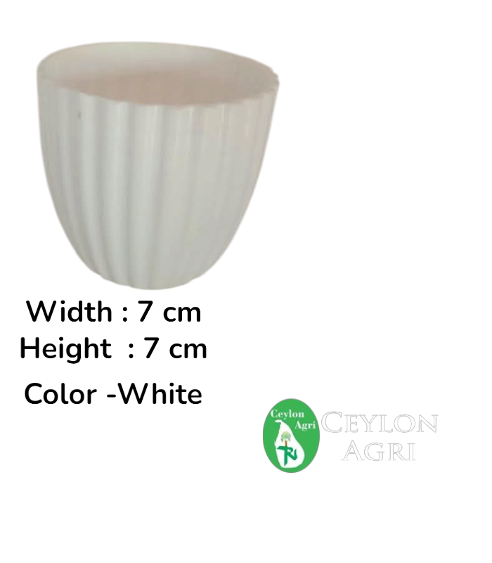 Ceylon Agri