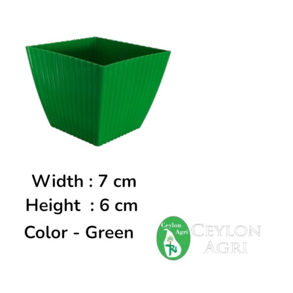 Square Plastic Pots (Green) | මල් බදුන්