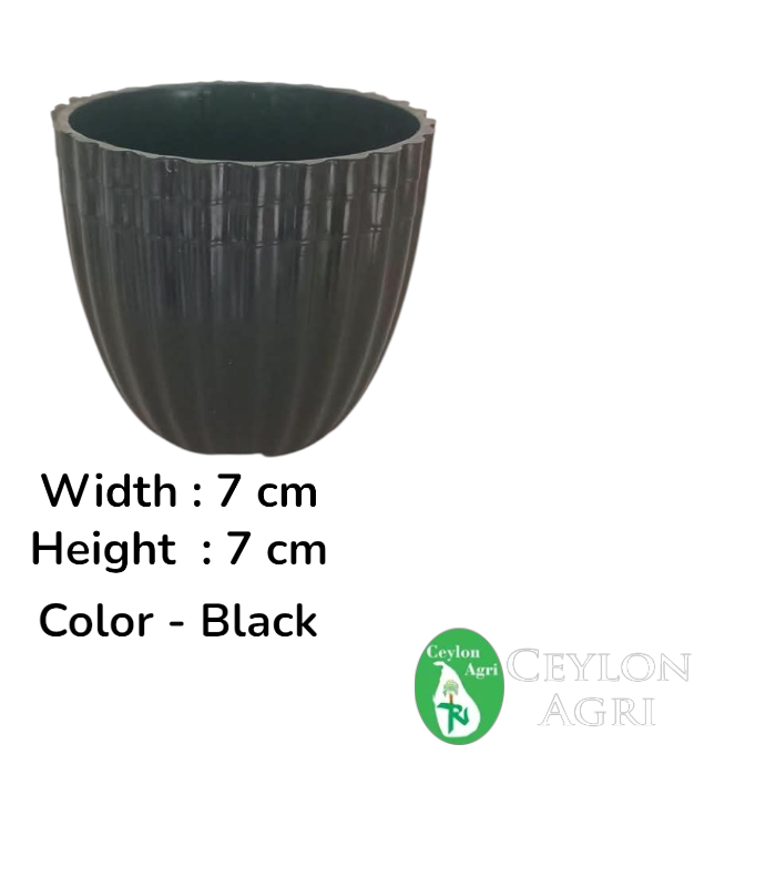 Ceylon Agri