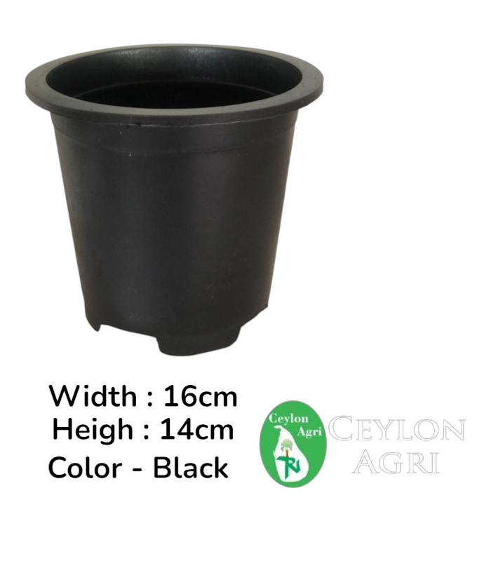 Ceylon Agri