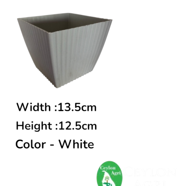 Plastic Pots (White) | මල් බදුන්