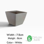 Plastic Pots (White) | මල් බදුන්