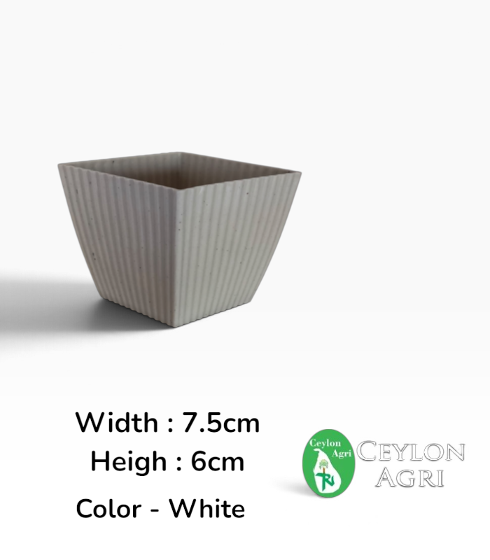 Ceylon Agri