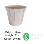 Plastic Pots (White ) | මල් බදුන්