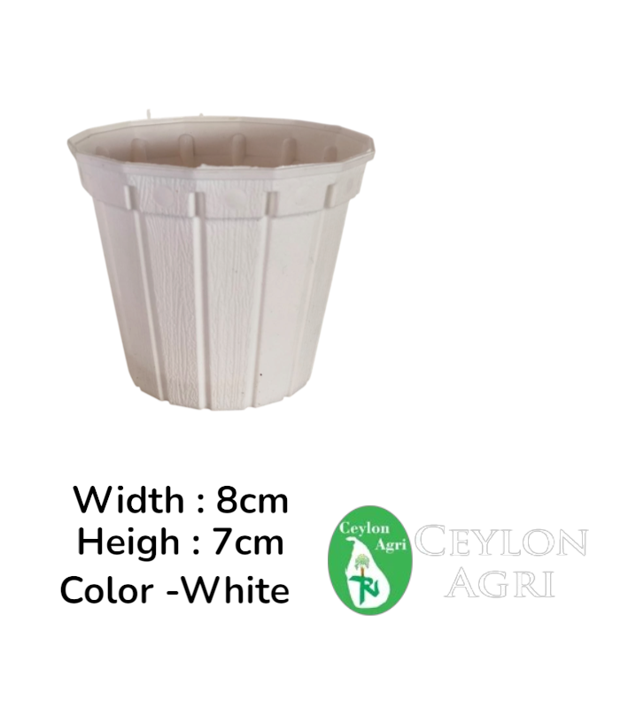 Ceylon Agri