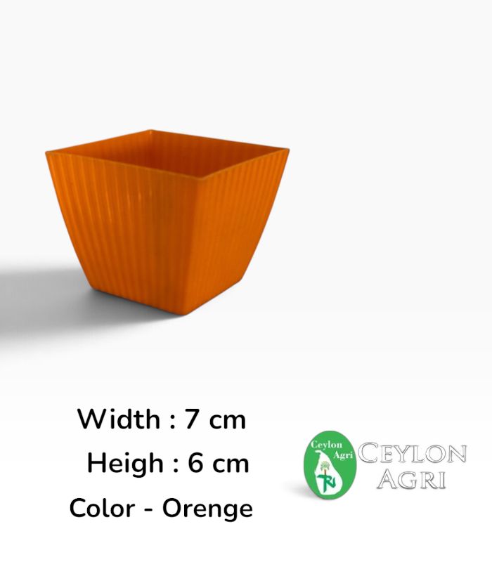 Ceylon Agri