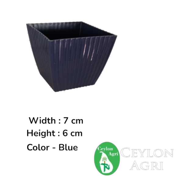 Square Plastic Pots (Blue) | මල් බදුන්