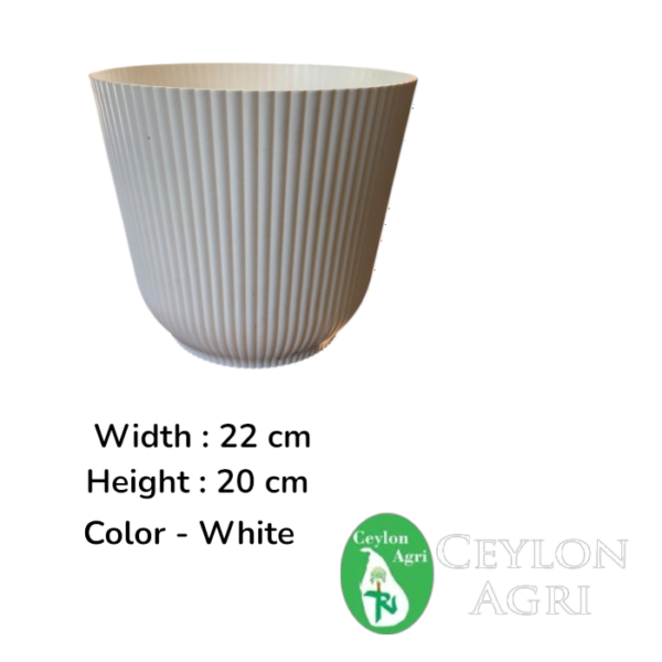 Plastic Pots (White ) | මල් බදුන්