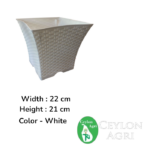 Plastic Pots (White ) | මල් බදුන්