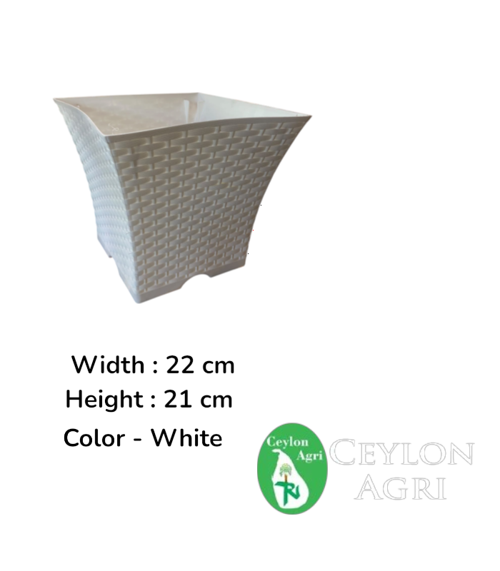 Ceylon Agri