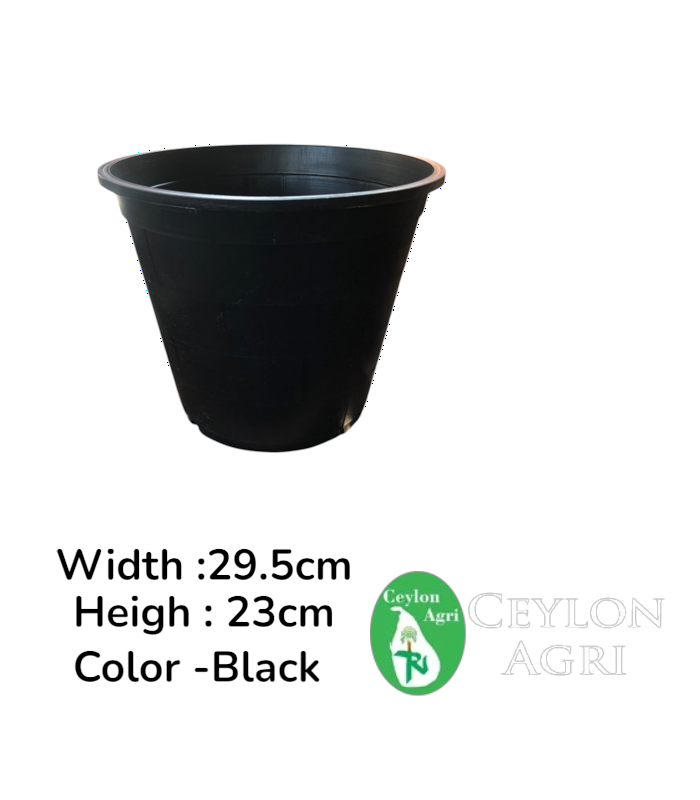Ceylon Agri