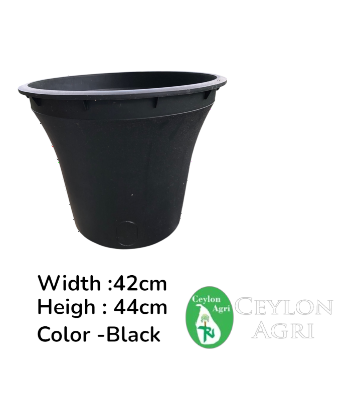 Ceylon Agri