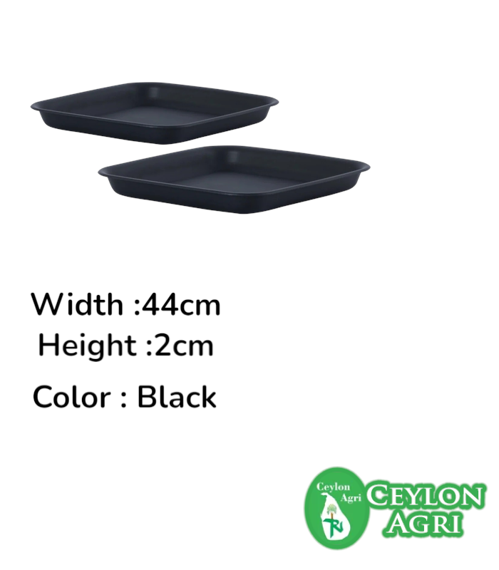 Ceylon Agri