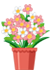 Flower Plants / විසිතුරු මල් පැල