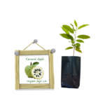 2021/08/1000054262.png Ceylon Agri