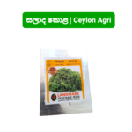 Lettuce | සලාද කොළ - ආනයනික