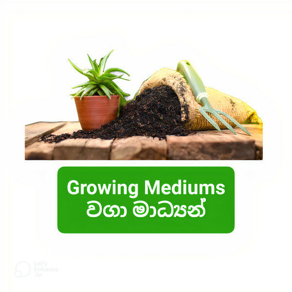 Growing Mediums & Fertilizers / පස් මාධ්‍යන් සහ පොහොර