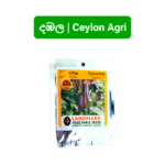 Red Winged Beans | රතු දඹල