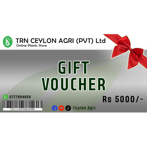 gift voucher rs 5000