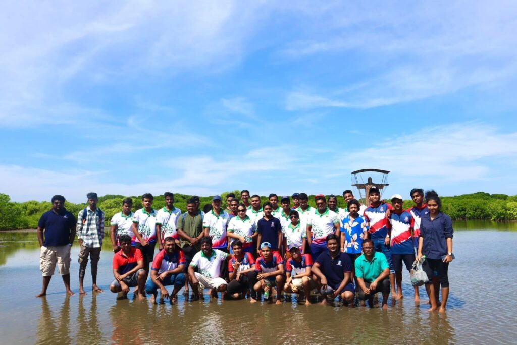 Mangrove Planting Event