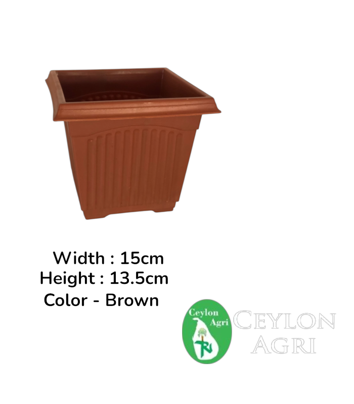 New Template (44) Plastic Pot ( Brown) | මල් බදුන් - Image 1