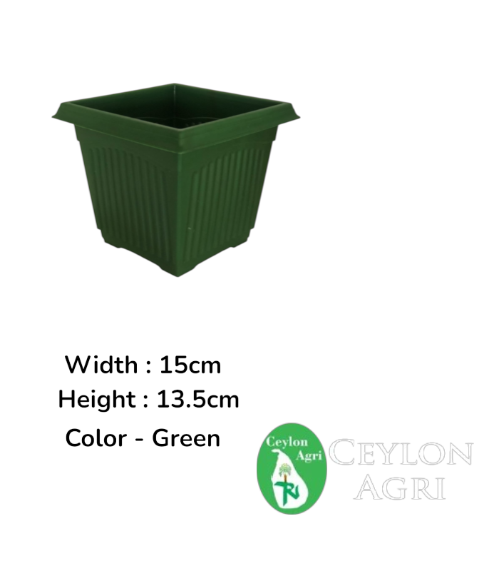 New Template (45) SquarePlastic Pots (Green) | මල් බදුන් - Image 1