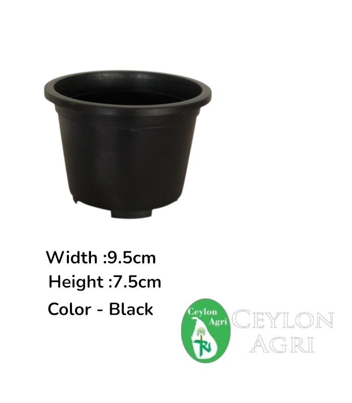 New Template (47) Plastic Pots (Black ) | මල් බදුන් - Image 1